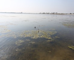 Le lac Pyu, nouvelle zone humide d’importance internationale au Myanmar