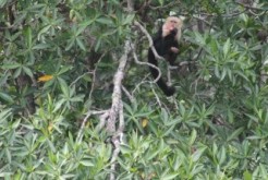  La iniciativa Humedales para el Futuro promueve la conservación de los humedales de América Latina y el Caribe