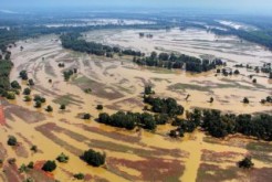 Groundbreaking approval: Danube WILDisland becomes Europe's first river-focused Ramsar Regional Initiative