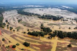 Danube WILDisland se convierte en la primera iniciativa regional de Ramsar en Europa centrada en un río