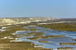 Uzbekistan names its fourth Wetland of International Importance